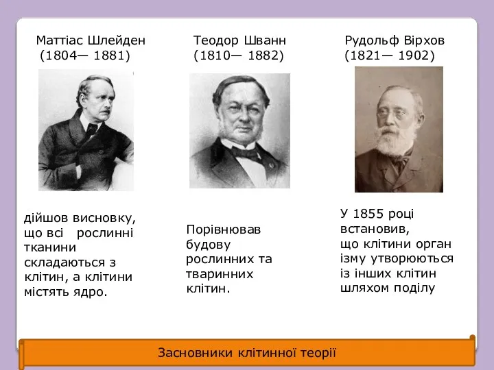 Маттіас Шлейден (1804— 1881) Рудольф Вірхов (1821— 1902) Теодор Шванн