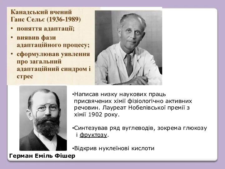 Герман Еміль Фішер Написав низку наукових праць присвячених хімії фізіологічно