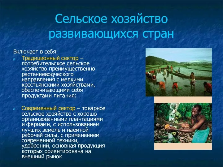 Сельское хозяйство развивающихся стран Включает в себя: Традиционный сектор –