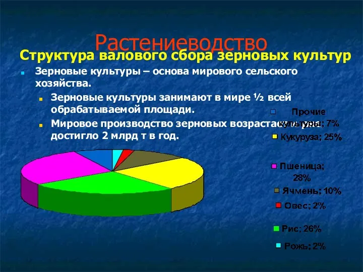 Растениеводство Зерновые культуры – основа мирового сельского хозяйства. Зерновые культуры