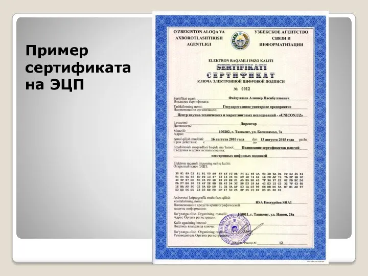 Пример сертификата на ЭЦП