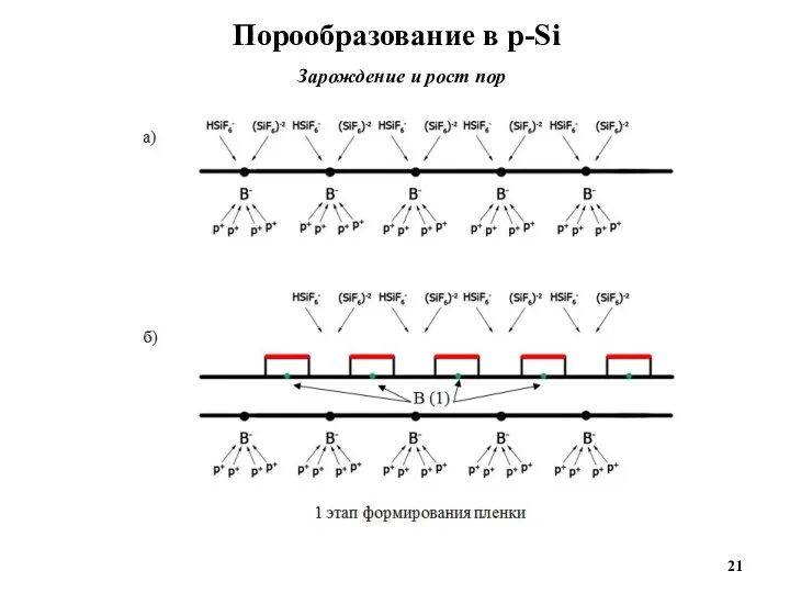 Порообразование в р-Si Зарождение и рост пор