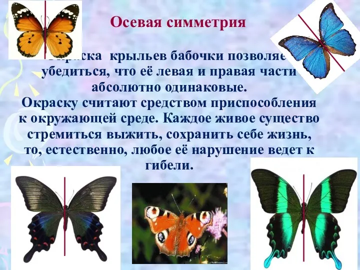 Осевая симметрия Окраска крыльев бабочки позволяет убедиться, что её левая и правая части