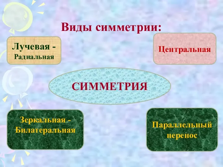 Виды симметрии: СИММЕТРИЯ Лучевая - Радиальная Зеркальная - Билатеральная Центральная Параллельный перенос Осевая