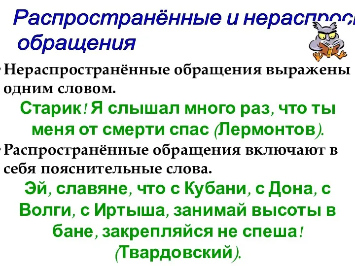 Распространённые и нераспространённые обращения Нераспространённые обращения выражены одним словом. Старик!