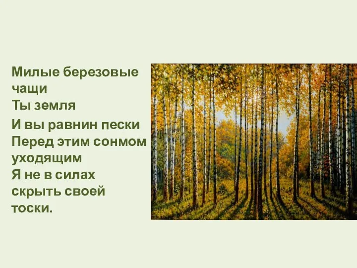 Милые березовые чащи Ты земля И вы равнин пески Перед