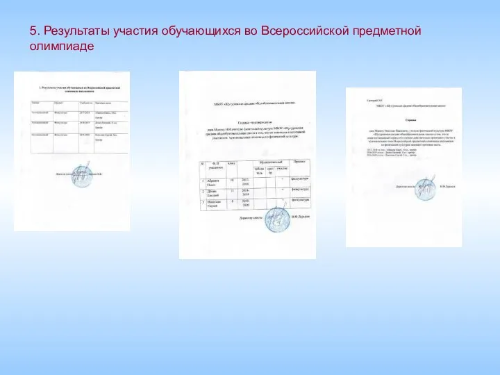 5. Результаты участия обучающихся во Всероссийской предметной олимпиаде