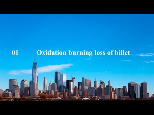 01 Oxidation burning loss of billet