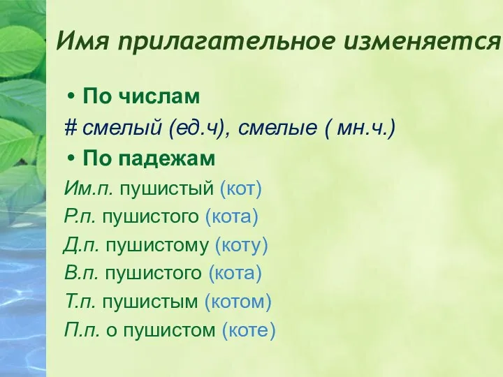 Имя прилагательное изменяется По числам # смелый (ед.ч), смелые (