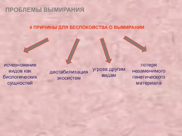 ПРОБЛЕМЫ ВЫМИРАНИЯ 4 ПРИЧИНЫ ДЛЯ БЕСПОКОЙСТВА О ВЫМИРАНИИ исчезновение видов