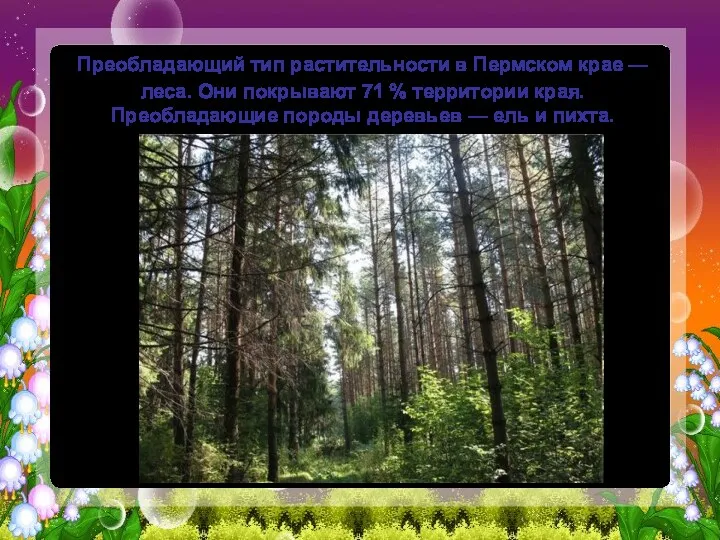 Преобладающий тип растительности в Пермском крае — леса. Они покрывают