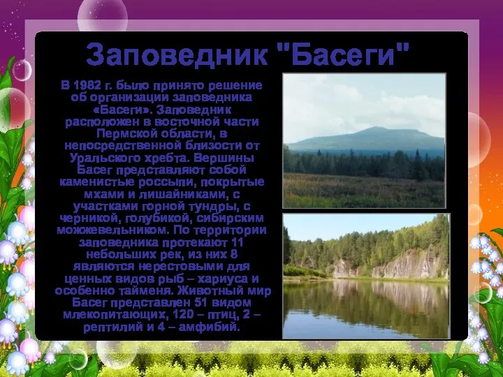 Заповедник "Басеги" В 1982 г. было принято решение об организации