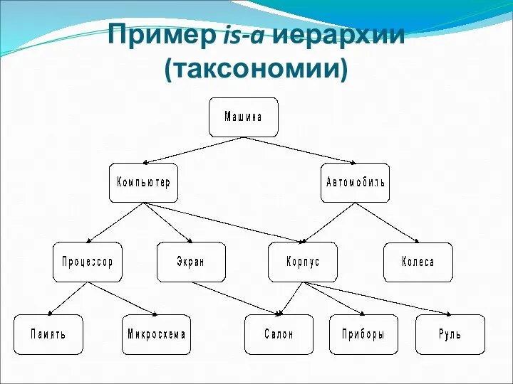 Пример is-a иерархии (таксономии)