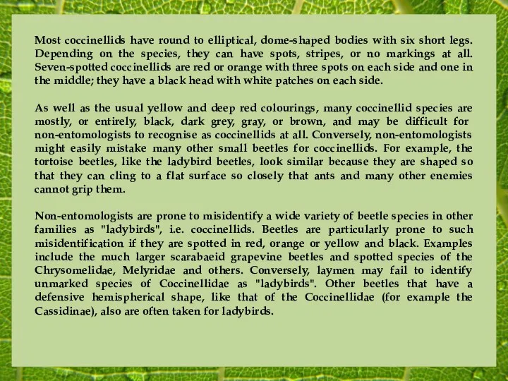 Most coccinellids have round to elliptical, dome-shaped bodies with six