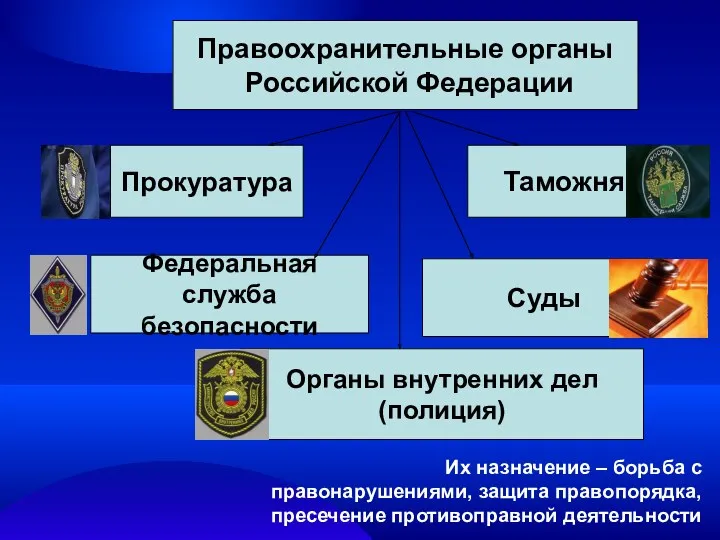 Правоохранительные органы Российской Федерации Прокуратура Таможня Федеральная служба безопасности Суды