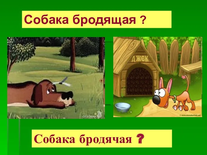 Собака бродячая ? Собака бродящая ?