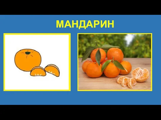 МАНДАРИН