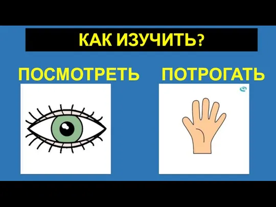 КАК ИЗУЧИТЬ? ПОСМОТРЕТЬ ПОТРОГАТЬ