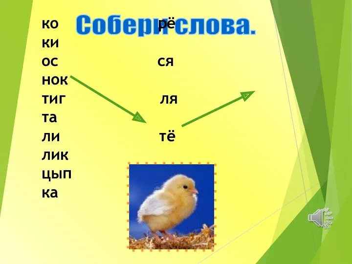 Собери слова. ко рё ки ос ся нок тиг ля