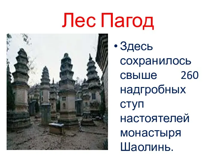 Лес Пагод Здесь сохранилось свыше 260 надгробных ступ настоятелей монастыря Шаолинь.