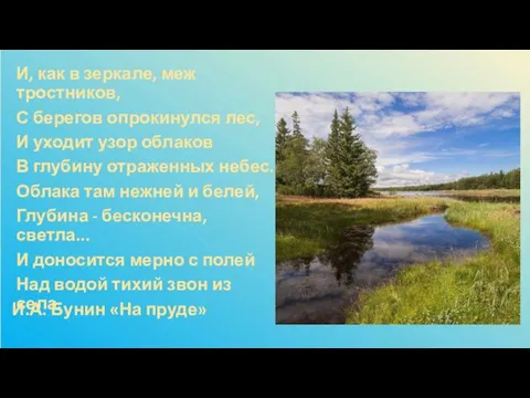 И.А. Бунин «На пруде» И, как в зеркале, меж тростников, С берегов опрокинулся