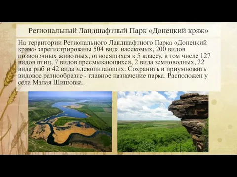 Региональный Ландшафтный Парк «Донецкий кряж» На территории Регионального Ландшафтного Парка «Донецкий кряж» зарегистрированы