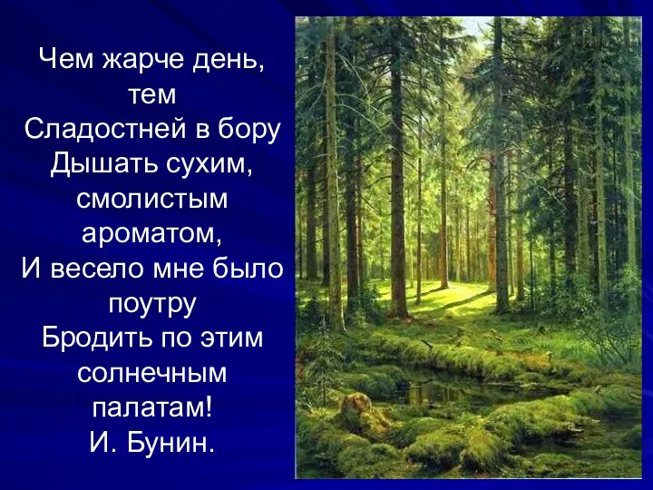 Чем жарче день, тем Сладостней в бору Дышать сухим, смолистым