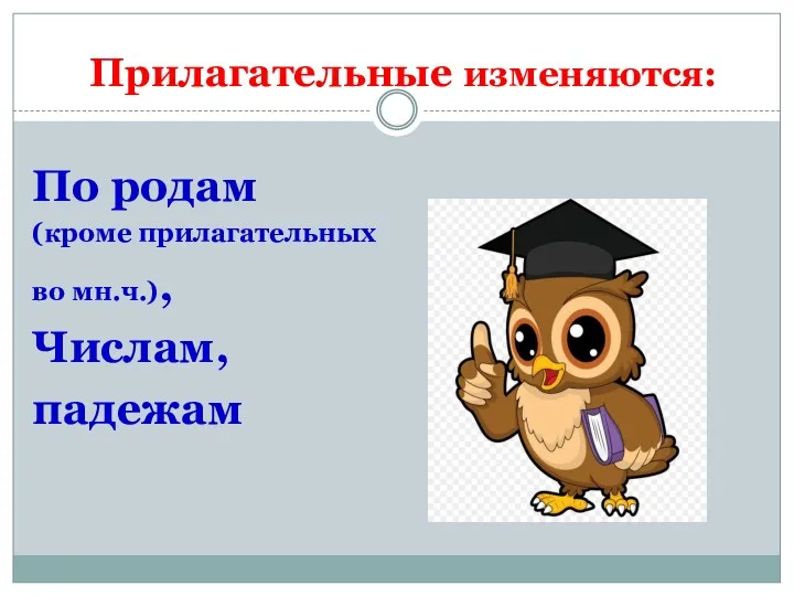 Прилагательные изменяются: По родам (кроме прилагательных во мн.ч.), Числам, падежам