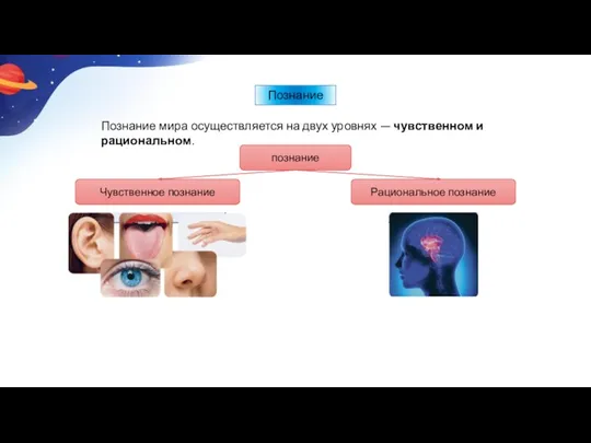 Познание мира осуществляется на двух уровнях — чувственном и рациональном. познание Рациональное познание Чувственное познание Познание