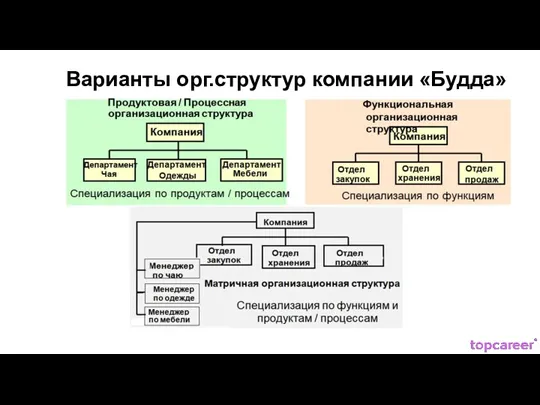 Варианты орг.структур компании «Будда»