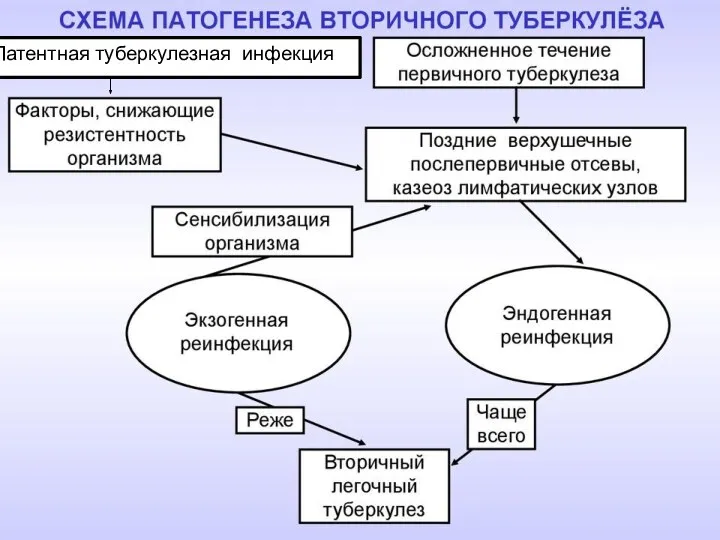 Латентная туберкулезная инфекция