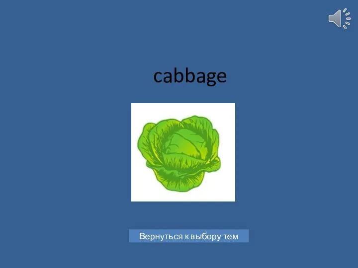 cabbage