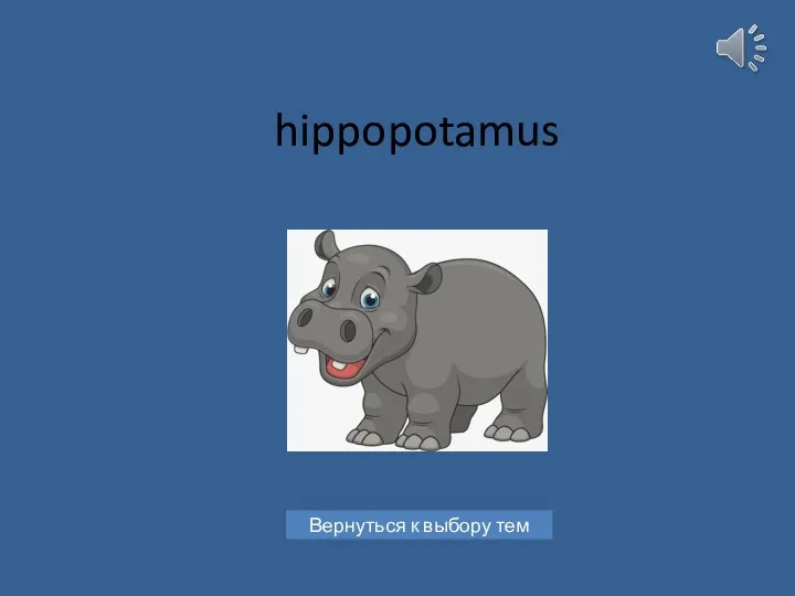 hippopotamus