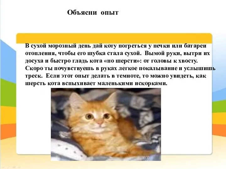 В сухой морозный день дай коту погреться у печки или