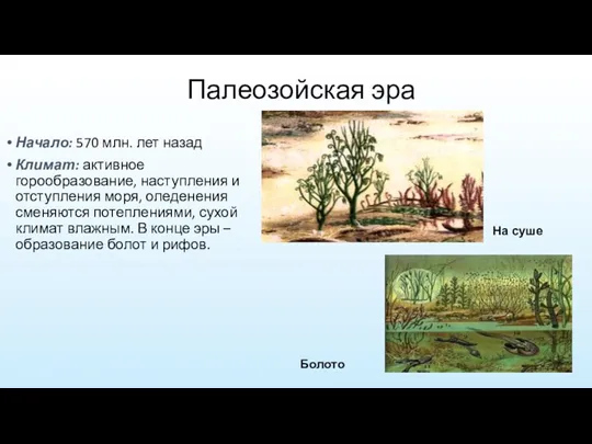 Палеозойская эра Начало: 570 млн. лет назад Климат: активное горообразование,