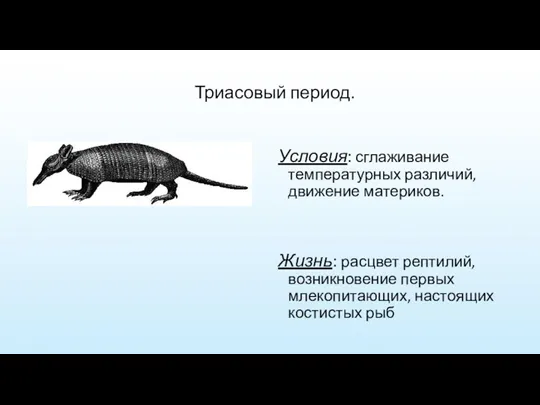 Триасовый период. Условия: сглаживание температурных различий, движение материков. Жизнь: расцвет