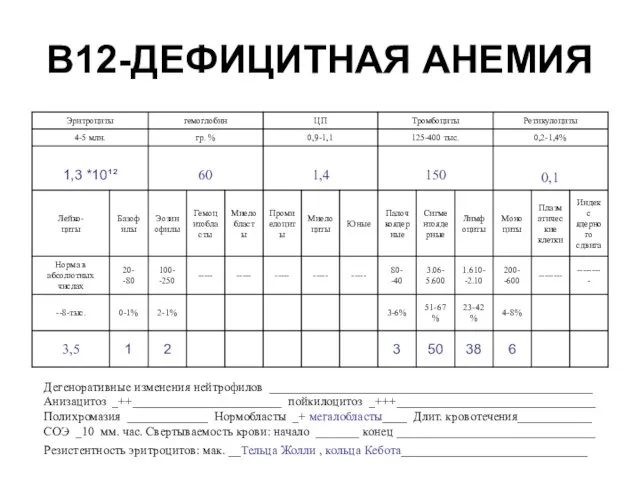 В12-ДЕФИЦИТНАЯ АНЕМИЯ Дегеноративные изменения нейтрофилов ____________________________________________________ Анизацитоз _++________________________ пойкилоцитоз _+++________________________________