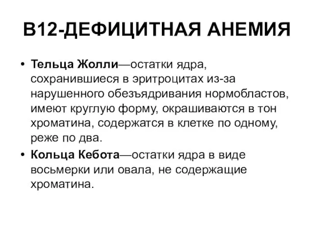 В12-ДЕФИЦИТНАЯ АНЕМИЯ Тельца Жолли—остатки ядра, сохранившиеся в эритроцитах из-за нарушенного