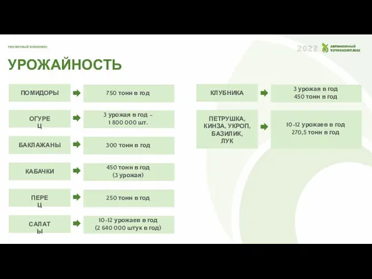 ПОМИДОРЫ 750 тонн в год ОГУРЕЦ 3 урожая в год