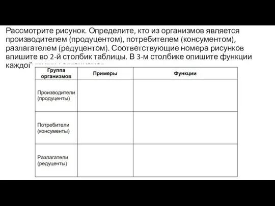 Рассмотрите рисунок. Определите, кто из организмов является производителем (продуцентом), потребителем (консументом), разлагателем (редуцентом).