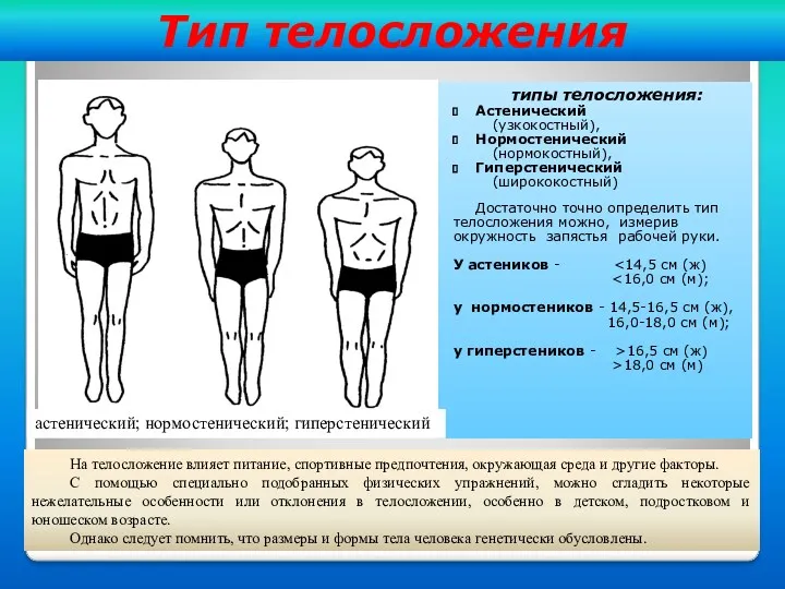Тип телосложения типы телосложения: Астенический (узкокостный), Нормостенический (нормокостный), Гиперстенический (ширококостный) Достаточно точно определить