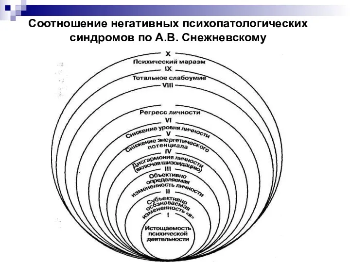 Соотношение негативных психопатологических синдромов по А.В. Снежневскому
