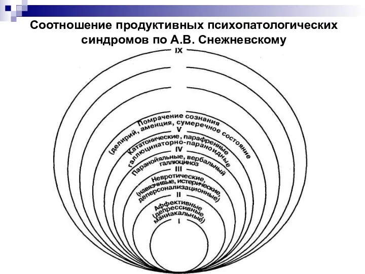 Соотношение продуктивных психопатологических синдромов по А.В. Снежневскому