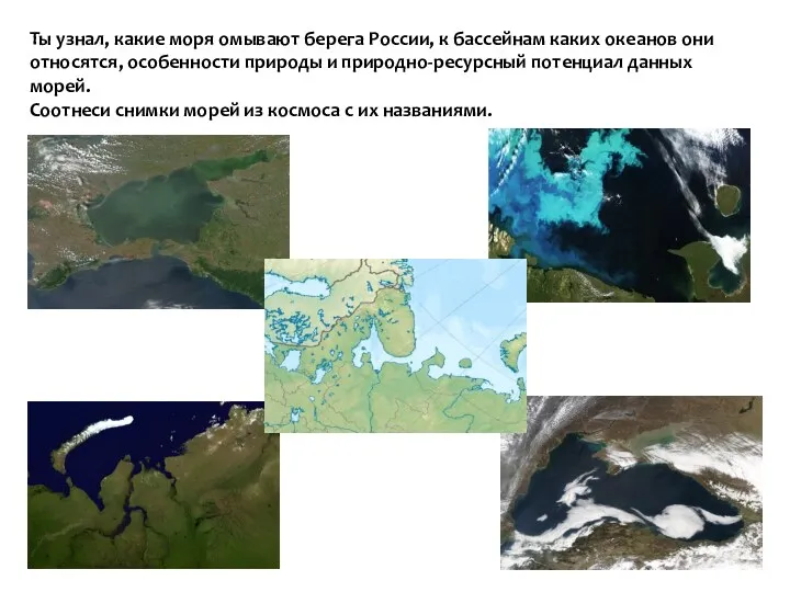 Ты узнал, какие моря омывают берега России, к бассейнам каких океанов они относятся,
