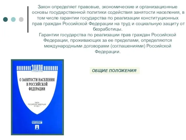 Закон определяет правовые, экономические и организационные основы государственной политики содействия занятости населения, в