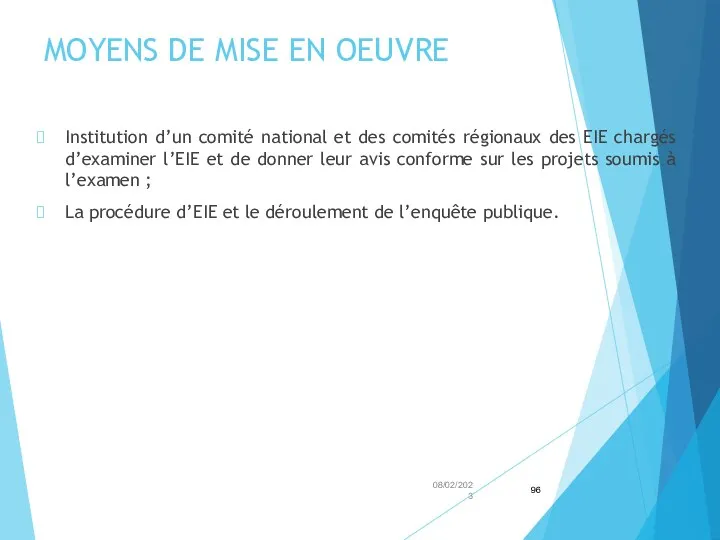 MOYENS DE MISE EN OEUVRE Institution d’un comité national et