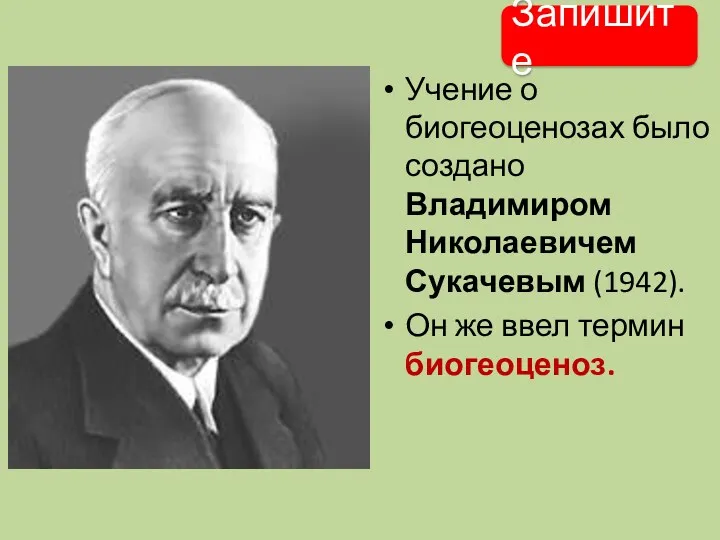 Учение о биогеоценозах было создано Владимиром Николаевичем Сукачевым (1942). Он же ввел термин биогеоценоз. Запишите