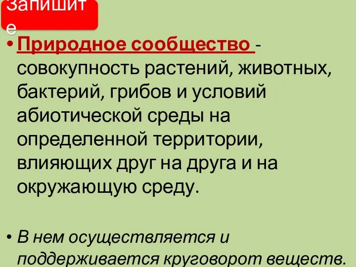 Природное сообщество - совокупность растений, животных, бактерий, грибов и условий