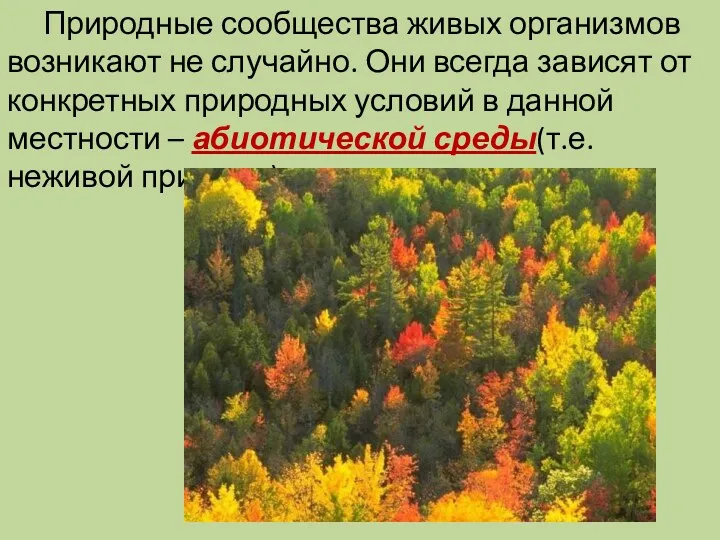 Природные сообщества живых организмов возникают не случайно. Они всегда зависят