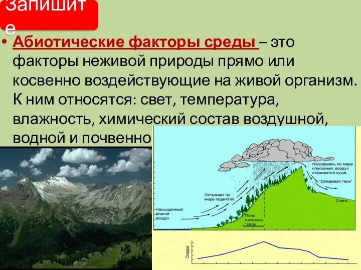 Абиотические факторы среды – это факторы неживой природы прямо или